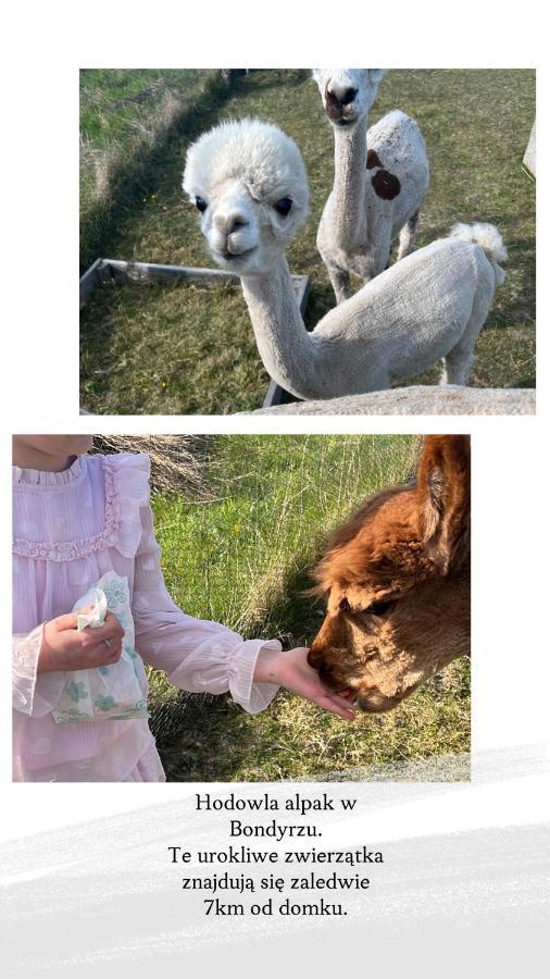 DOMEK LETNISKOWY POD BRZOZAMI na Roztoczu wśród lasów Adamow  Zewnętrze zdjęcie