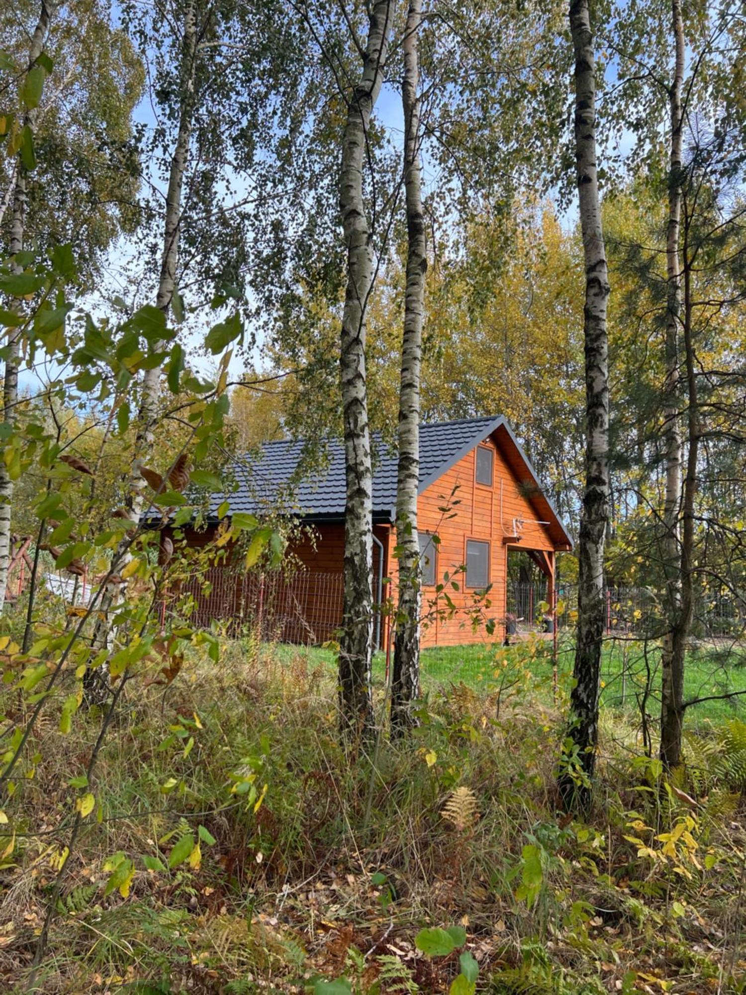 DOMEK LETNISKOWY POD BRZOZAMI na Roztoczu wśród lasów Adamow  Zewnętrze zdjęcie
